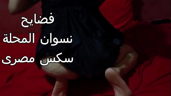 شرموطة مصرية طيزها نار وعايزة تتناك بقوة